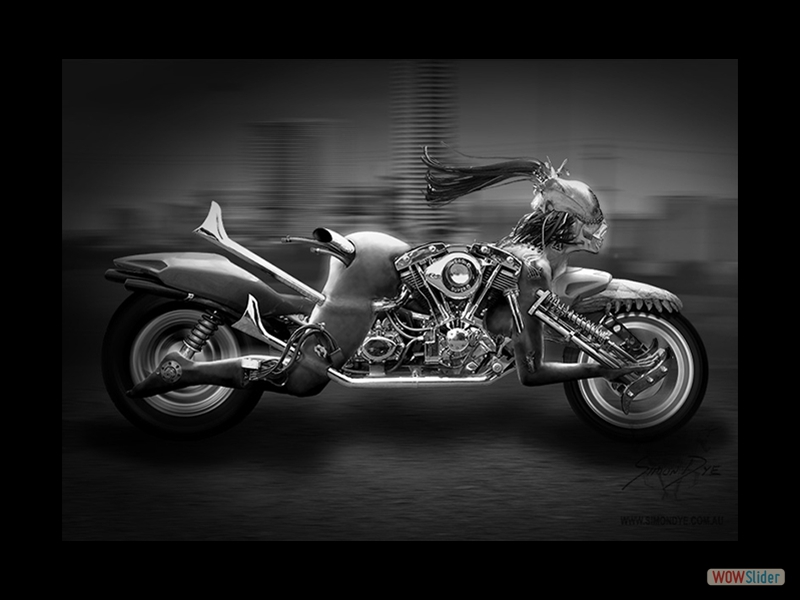 beautyrider