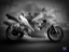 triumfemme